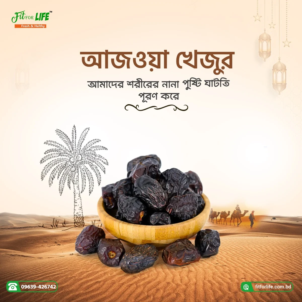 Ajwa Dates (আজওয়া খেজুর)